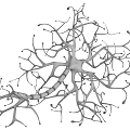 Medical Device 3D Neuron Model with Complex Branches and Yellow Axon for Neuroscience Research