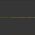 Long Green Stick Insect With Spiky Body Resembling Tree Branch In Wild