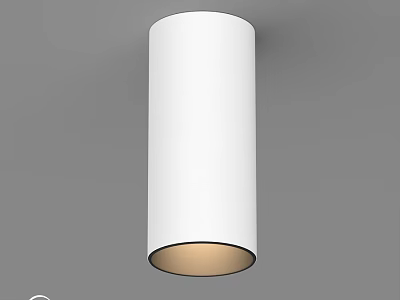 Cylindrical White Ceiling Light With Warm Glow Mounted On Gray Ceiling 3d model
