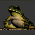 Vibrant Green Red Frog With Detailed Anatomical Structure And Lifelike Features