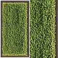 Decorative Green Plant Wall Showcasing Various Plant Species And Vertical Garden Design