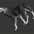 Detailed Realistic Wolf Sculpture Howling While Running On Dark Gray Background