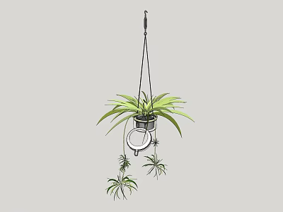 Green Leafy Hanging Bonsai Potted Plant With Small Trailing Plants And Metal Hanger 3d model