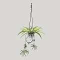 Green Leafy Hanging Bonsai Potted Plant With Small Trailing Plants And Metal Hanger