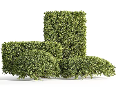 Lush Green Outdoor Bushes With Trimmed Shaped Foliage And Garden Design 3d model