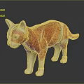 Educational Anatomical Cat Model Illustrating Internal Organs And External Hair Features