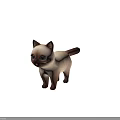 3D Modeled Siamese Cat Character With Blue Eyes Cream Fur And Dark Points