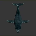 Blue Whale With Smooth Blue Body White Spots And Raised Tail Against Gray Background