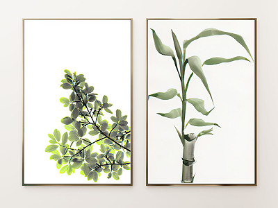 Nordic Plant Painting Plant Decorative Painting model