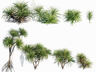 Various Varieties of Arbor Trees with Green Foliage Different Sizes and Root Structures 3d model