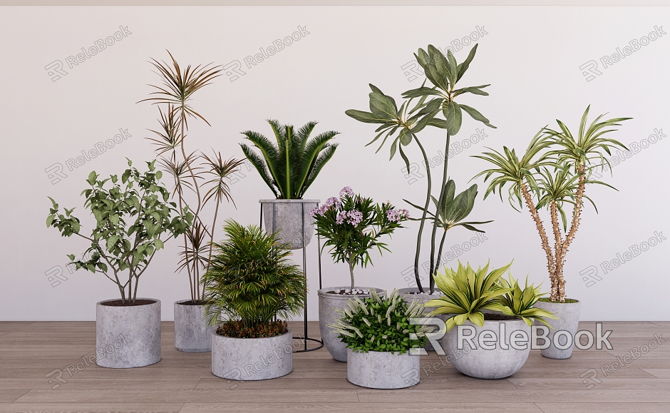 Plant Bonsai Combination Green Plant Shrubs Flowers Indoor Landscape Plant Decoration model