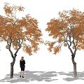 Red Maple Landscape Tree Arbor Bamboo Rattan Chandelier 3d model
