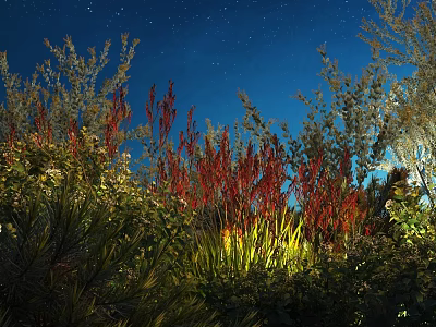 Colorful Garden Shrubs With Red And Green Foliage Illuminated Under Starry Night Sky 3d model