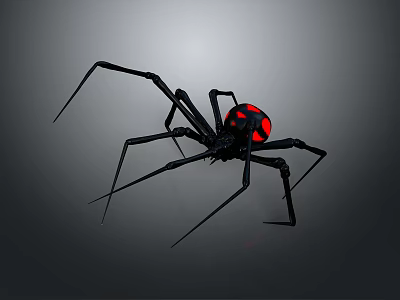 Black Spider With Red Circular Abdomen And Long Legs On Gray Background 3d model