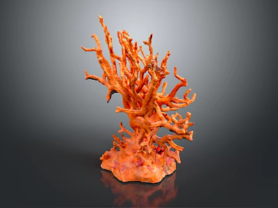 Vibrant Aquatic Animals Thriving In Orange Coral Reef Marine Ecosystem Habitat 3d model