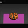 Fresh Ripe Orange and Green Striped Pumpkin on Dark Background