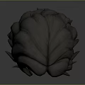 Game and Movie Character Head With Stylized Curly Hair 3D Model Design