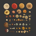 Various Colorful Mushrooms With Different Shapes And Sizes Arranged On Black Background