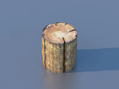 Rustic Wooden Stump Household Item Featuring Natural Annual Rings Texture For Home Decor 3d model