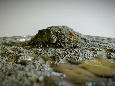 Muddy After Rain Landscape With Small Mound Puddles And Reflective Water Stains 3d model