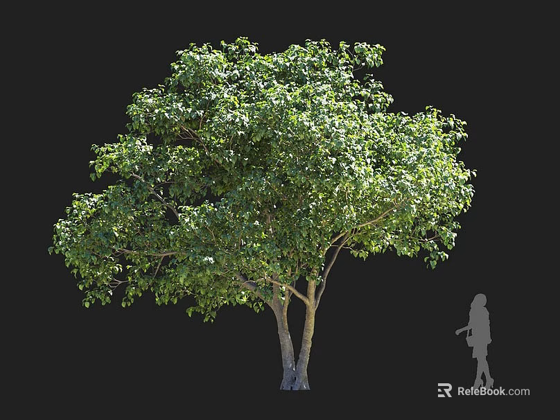 Lush Green Shrub With Dense Foliage And Human Figure For Scale Isolated On Black Background 3d model 