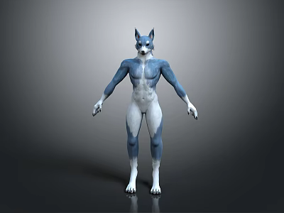Anthropomorphic Wolf Character With Blue And White Fur Standing In Muscular Stance 3d model