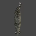 Realistic Snow Leopard 3D Model With Detailed Fur And Lifelike Features 3d model