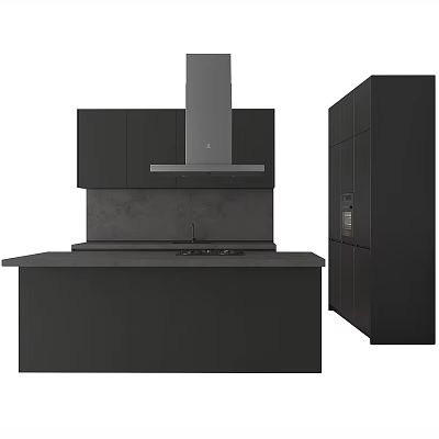 Modern Kitchen Interior Design With Black Cabinets Cooktop And Range Hood 3d model