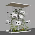 Window Display Decoration With Hanging Display Boards Text Images A Tree And Green Plants