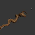 Brown Coiled Snake With Small Shiny Object On Gray Background