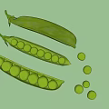 Fresh Green Pea Pods With Scattered Peas On White Background