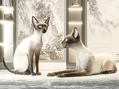 Two Siamese Cats Sitting And Looking At Each Other In Decorative Interior With Landscape Paintings 3d model