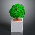 Lush Green Plant with White Speckled Square Planter on Gray Background