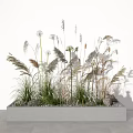 Ornamental Grasses And Herbs In Concrete Planter With White Spherical Flowers And Green Foliage