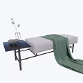 Cozy Footstool With Gray Cushion Green Blanket And Small Table With Vase Plant