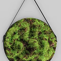 Two Round Green Moss Wall Decor Hanging On Gray Background 3d model
