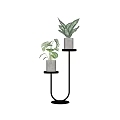 Bonsai Potted Plants on Black Multi tiered Stand with Gray Pots and Green Leaves