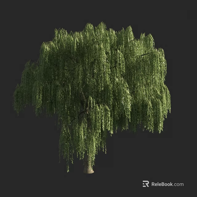 Weeping Willow Tree With Lush Green Foliage And Drooping Branches In Natural View 3d model 