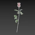 Beautiful Red Rose With Green Stem And Leaves On Gray Background