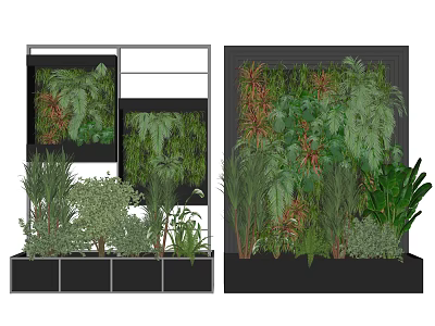 Decorative Green Plant Wall With Framed Design And Various Indoor Plants In Bottom Planter Boxes 3d model