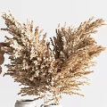 Beautiful Textured White Ceramic Vases With Dried Flowers For Home Decor