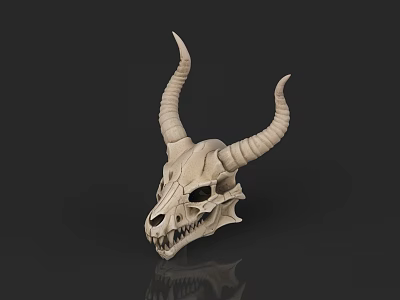 Anatomical Animal Skull With Long Curved Horns And Detailed Bone Structure 3d model