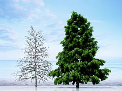 Bare and Lush Green Trees Standing By Water Surface Under Blue Sky 3d model