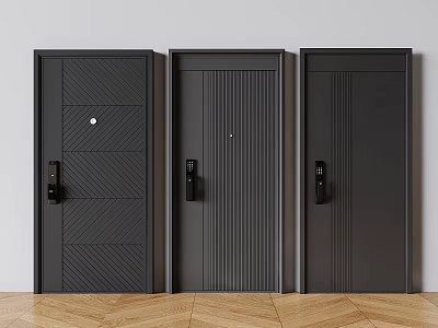 Three Stylish Interior Security Doors With Unique Designs 3d model