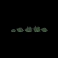 Lush Decorative Garden Shrubs with Purple Flowers Green Leaves and Various Sizes