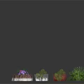 Various Types Of Decorative Household Plants And Colorful Flowers For Home Decoration
