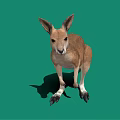 Kangaroo Plush Toy Decoration For Kids Room And Gift Options