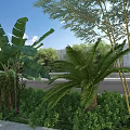 Scenic Natural Landscape With Green Plants Palm Trees Road And Clear Blue Sky