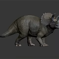 Detailed Realistic Triceratops Dinosaur Model With Three Horns And Frill