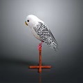 White and Gray Parrot with Yellow Beak Perched on Red Wooden Stand